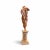 Campbell G. Paxton (American, b. 1948) signed figurative sculpture titled “Fragment of Youth – Pensive,” likely c....