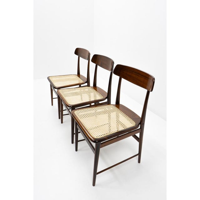 Lucio Side Chair by Sergio Rodrigues for Oca Brazil, 1950s For Sale - Image 6 of 18