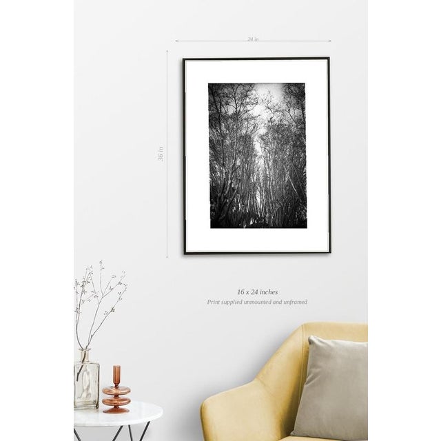 Fine art Giclee prints on Hahnemuhle Photo Rag 308gsm - a 100% cotton, acid-free, mould-made paper. Printed to Fine Art...