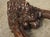 Wood Oversized French Carved Walnut Study of a Bronze Door Knocker, 19th Century For Sale - Image 7 of 16