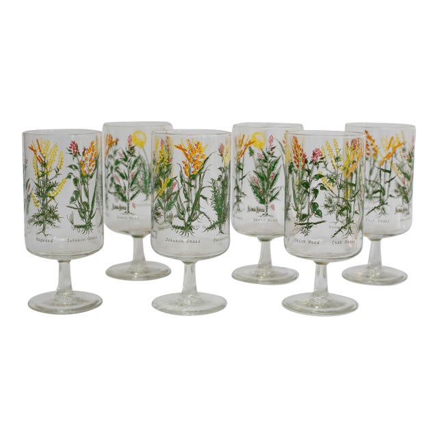 Vintage Neiman Marcus “Weed & Wildflower” Botanical Stem Glasses - Set of 6 For Sale