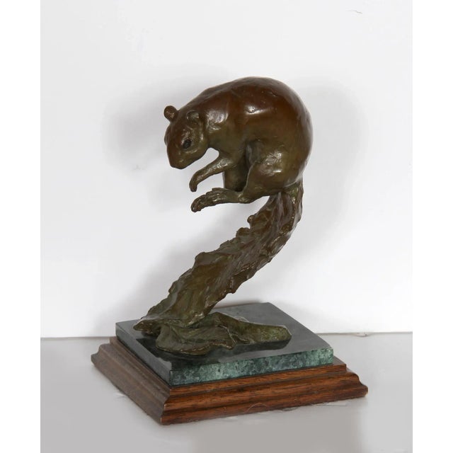 Modern Squirrel 1, T. Galbreath Bronze Sculpture, Signature and Number Inscribed For Sale - Image 3 of 3