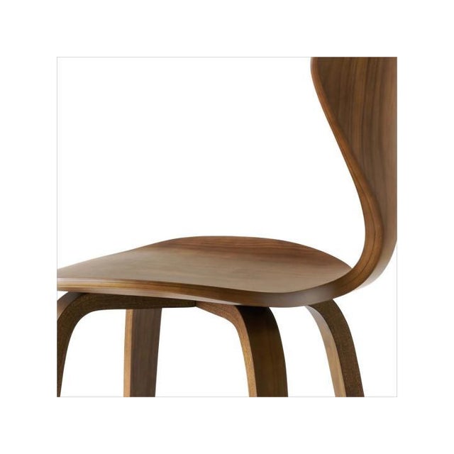 Mid-Century Modern Bar Stool attributed to Norman Cherner, 1950s For Sale - Image 11 of 18