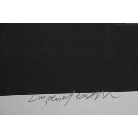 Imperial Series III, Jonathan Singer Digital Photo on Laid Paper, Signed and Numbered in Pencil For Sale - Image 4 of 4