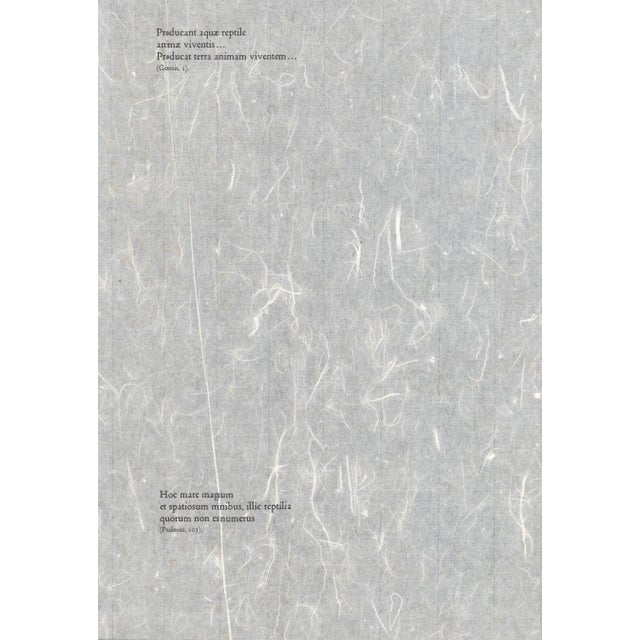 1967 Salvador Dalí Biblia Sacra "Creatio Animalium Terrae Et Maris" (The Creation of Earthly and Sea Animals) For Sale In New York - Image 6 of 8