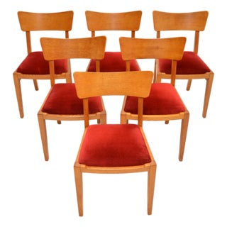 Vintage Oak Dining Chairs from G Plan, 1950, Set of 6 For Sale