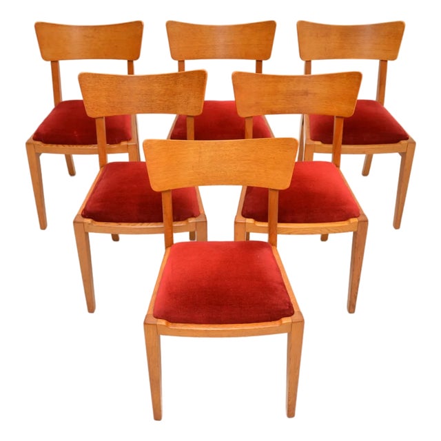Vintage Oak Dining Chairs from G Plan, 1950, Set of 6 For Sale