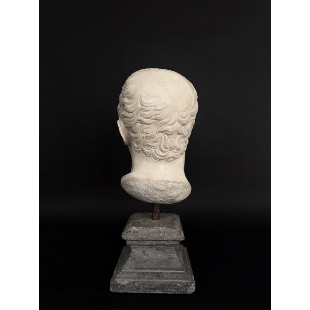 Head of Marcus Tullius Cicero, Late 18th Century, Marble For Sale - Image 16 of 18