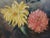 Early 20th C Oil Painting of Chrysanthemums For Sale - Image 9 of 12