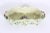 White 1930’s Italian Renaissance Revival Nova Rose Floral Faïence Ceramic Hand Painted Jardiniere Planter, Made in Italy For Sale - Image 8 of 11