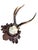 Cabin Roe Deer Trophy 220 Black Forest Antlers Mount For Sale - Image 3 of 5