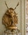 Late 20c French Louis XVI Gilt Bronze Sconces Wall Lamps - Pair For Sale - Image 13 of 16