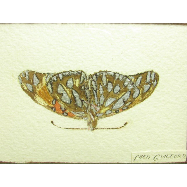 Pair of Antique English Framed Moth Paintings For Sale - Image 13 of 18