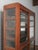 Wooden Rounded-Glass Display Cabinet With Mirrored Back For Sale In Greensboro - Image 6 of 7