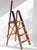 An antique painter's ladder made out of wood. The staircase is foldable and made in the Netherlands with its brand in the...