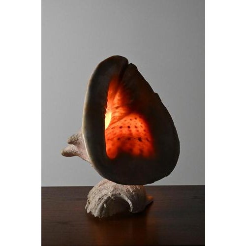 Vintage Shell Lamp For Sale - Image 6 of 10