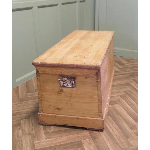 Wood Vintage Pine Carriage Trunk For Sale - Image 7 of 8