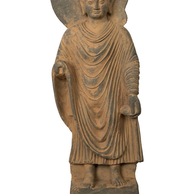 Ancient Indian Carved Stone Gandharan Shakyamuni Buddha Statue 2nd Century a.d. For Sale - Image 11 of 12