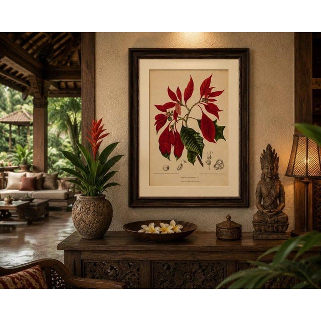 Paper Berthe Hoola van Nooten, Poinsettia, 1880, Chromolithograph For Sale - Image 7 of 9