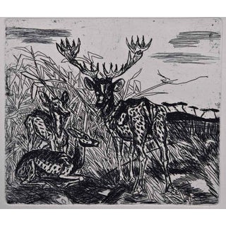 Antonio Ligabue, Deers, Etching, 1960s For Sale