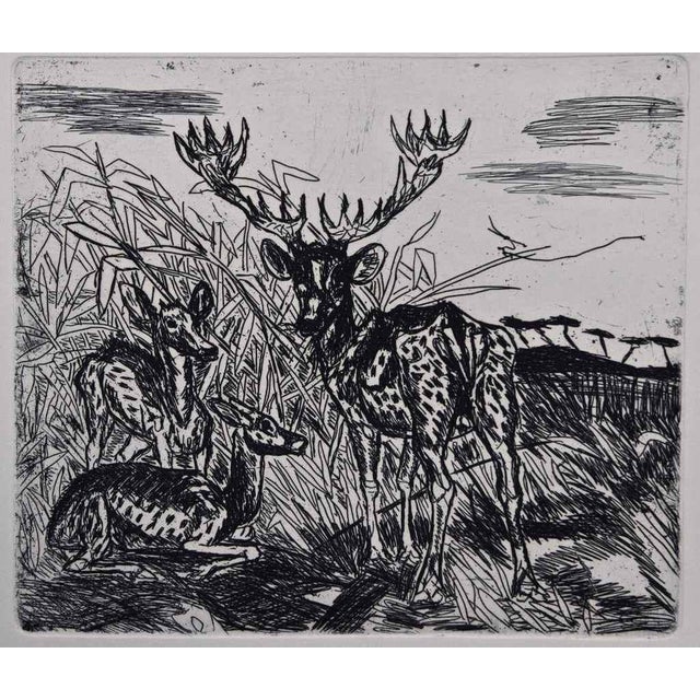 Antonio Ligabue, Deers, Etching, 1960s For Sale
