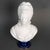 Bust of Marie Antoinette in Sèvres biscuit porcelain, early 20th century. Early 20th-century sculpture depicting Marie...
