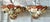 Vintage Pair of Shell-Encrusted Wall Sconces For Sale - Image 13 of 13