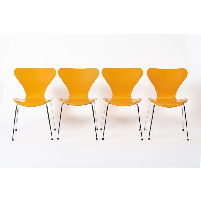 This set of four mid century Danish modern Series 7 Model 3107 chair designed by Arne Jacobsen for Fritz Hansen were...