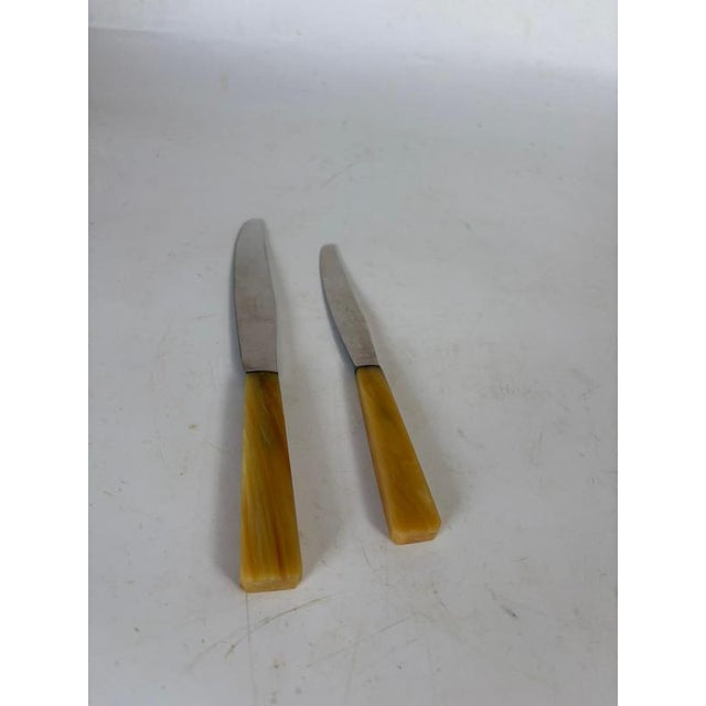 Plastic Bakelite and Stainless Steel Knives, France, 1970s, Set of 21 For Sale - Image 7 of 10