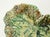 Ceramic Early 20th C Majolica Begonia Leaf Dish For Sale - Image 7 of 8
