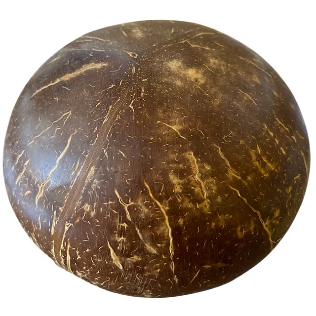 Celerie Kemble Carved Coconut Shell Bowl — Organic Tropical Decor For Sale - Image 4 of 6