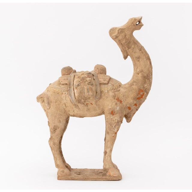 Camel Chinese Tang Style Standing Camel Pottery Sculpture For Sale - Image 8 of 11