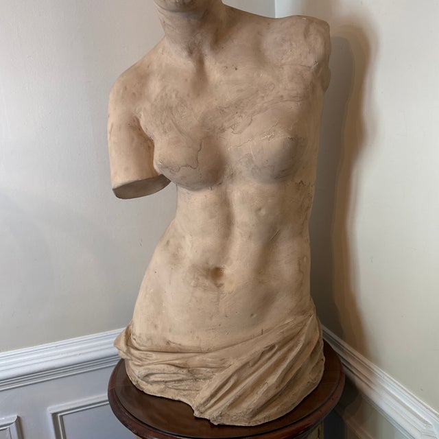 1970s Vintage Oversized Elegant Fiberglass Venus De Milo Bust For Sale - Image 10 of 12