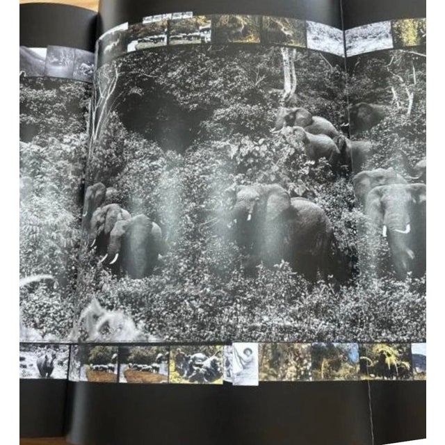 Peter Beard Taschen Slip Covered Set/2 Sealed Photography Books For Sale In Miami - Image 6 of 10
