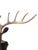 Vintage Bronzed 10 Point Deer Head Mount Sculpture!