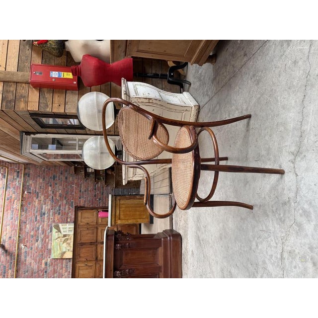Bentwood and Beech Armchair from DLG Thonet For Sale - Image 3 of 11