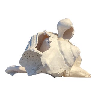 “Time Unfolds Peace” 1/1 Signed by the Artist Cheryl Fudge. Modern Abstraction, Hand Painted Nantucket Shell Sculpture. For Sale