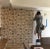 2010s Nina Campbell Birdcage Walk Wallpaper For Sale - Image 5 of 6