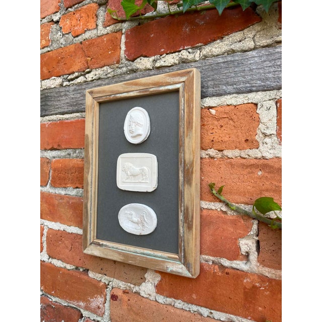 Late 19th Century Italian Plaster Intaglios in 1880s Pine Frame For Sale - Image 5 of 8