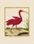Shore Bird Grouping by Martinet Blue and Pink Giclee Reproductions For Sale - Image 4 of 11