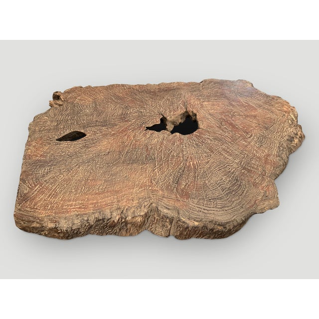 Contemporary Andrianna Shamaris Rare Teak Wood Slab or Table Top For Sale - Image 3 of 5