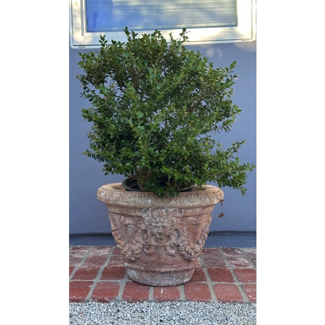 1990s Planter Toscana Jardiniere Concrete Amedusa Garlands With Hole French Style Urn Vintage For Sale - Image 13 of 18