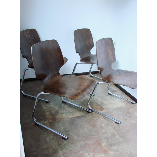 Modern Flötotto Chairs by Kusch+Co, 1960s, Set of 4 For Sale - Image 3 of 15
