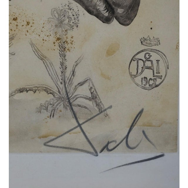 Dali Rhinoceros Hand Signed Numbered Etching Very Rare Surreal Art For Sale - Image 4 of 6