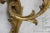 Pair of French Louis XV Style Gilt Bronze Two-Arm Wall Sconces, 1920s For Sale In New York - Image 6 of 10