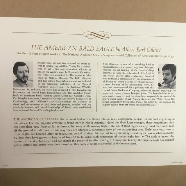 1970s American Bald Eagle by Albert Earl Gilbert For Sale - Image 5 of 8