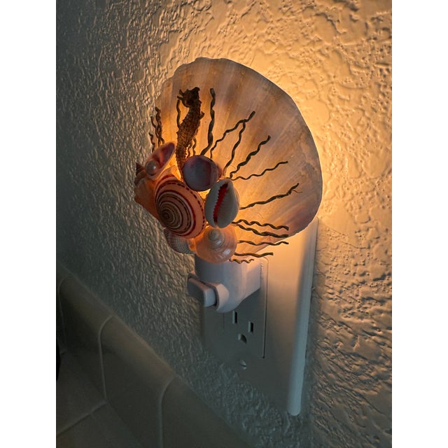 Sculpture Materials Natural Beach House Seashell Adorned Nightlight For Sale - Image 7 of 11