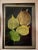 Wood 2000s Framed Etched Leaves by Booker Morey For Sale - Image 7 of 10