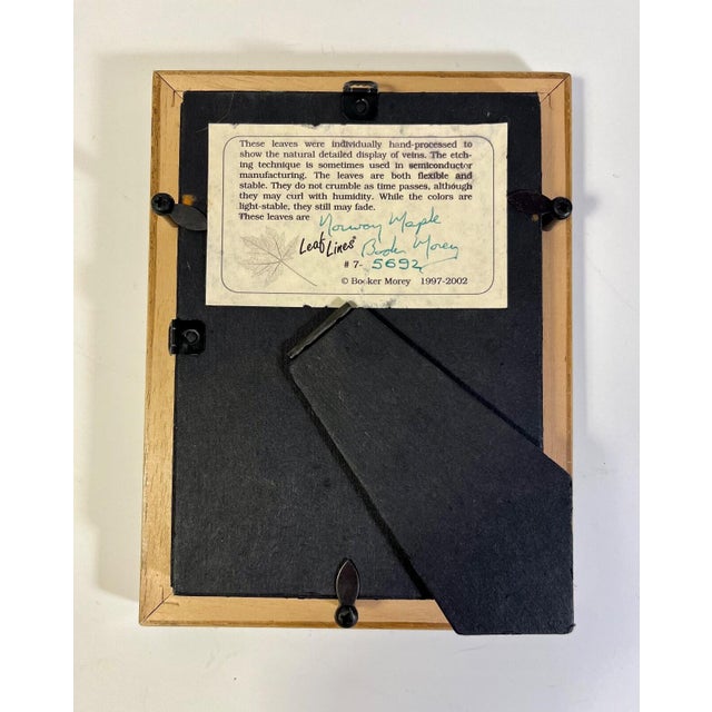 Vintage Booker Morey Norway Maple Leaves Signed Shadow Box Frame # 7-5692 For Sale - Image 4 of 7