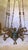 Brown Antique Neo-Gothic Church Chandelier, 1800s For Sale - Image 8 of 10